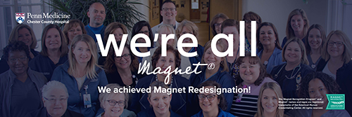 Magnet